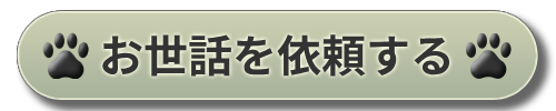 お世話を依頼する